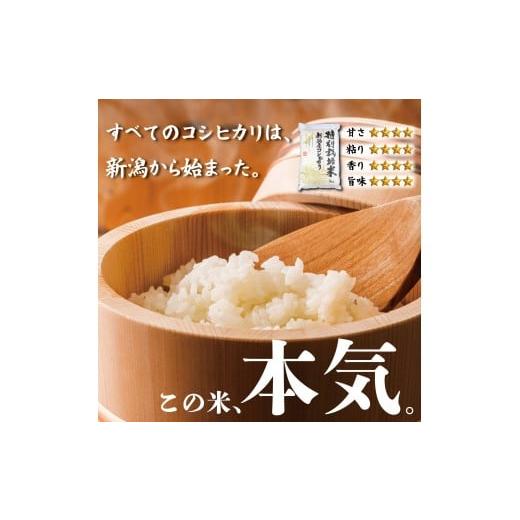 ふるさと納税 米 コシヒカリ 新潟県 新発田市 先行予約 令和8年産 コシヒカリ 玄米 10kg 特別栽培米 こしひかり 米 お米 こめ 新潟米 新潟県産 新潟産 新潟 …_2