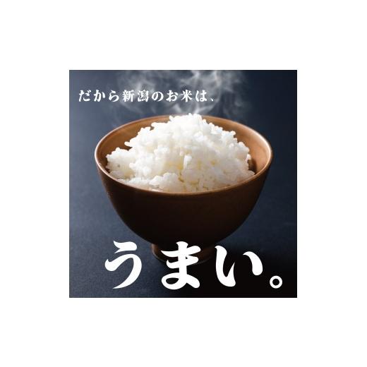 ふるさと納税 米 コシヒカリ 新潟県 新発田市 先行予約 令和8年産 コシヒカリ 玄米 10kg 特別栽培米 こしひかり 米 お米 こめ 新潟米 新潟県産 新潟産 新潟 …_6