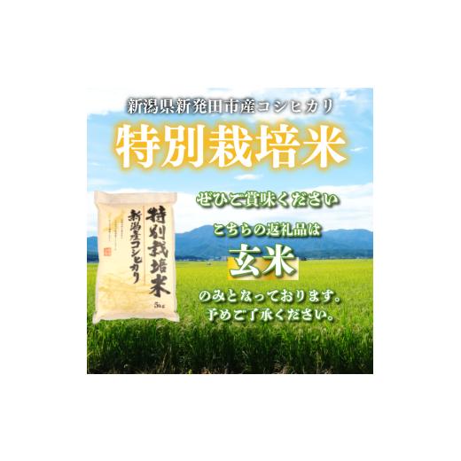 ふるさと納税 米 コシヒカリ 新潟県 新発田市 先行予約 令和8年産 コシヒカリ 玄米 10kg 特別栽培米 こしひかり 米 お米 こめ 新潟米 新潟県産 新潟産 新潟 …_8
