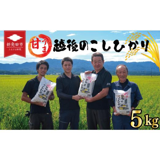 ふるさと納税 米 コシヒカリ 新潟県 新発田市 先行予約 令和8年産 こしひかり 白米 5kg 甘うま越後の コシヒカリ 米 お米 こめ 新潟米 新潟県産 新潟産 新潟 …