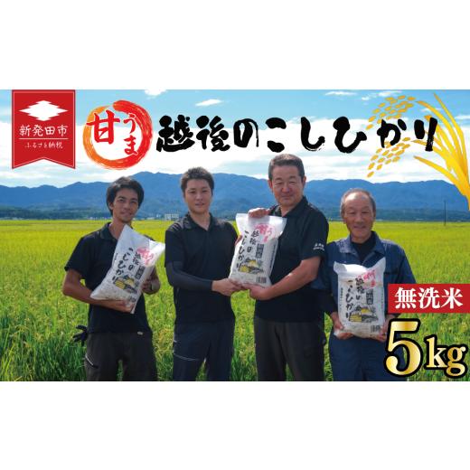 ふるさと納税 米 コシヒカリ 新潟県 新発田市 先行予約 令和8年産 こしひかり 無洗米 5kg 甘うま越後の コシヒカリ 米 お米 こめ 新潟米 新潟県産 新潟産 新…