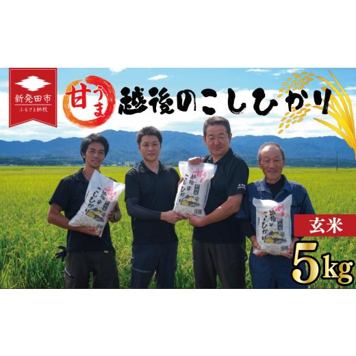 ふるさと納税 米 コシヒカリ 新潟県 新発田市 先行予約 令和8年産 こしひかり 玄米 5kg 甘うま越後の コシヒカリ 米 お米 こめ 新潟米 新潟県産 新潟産 新潟 …