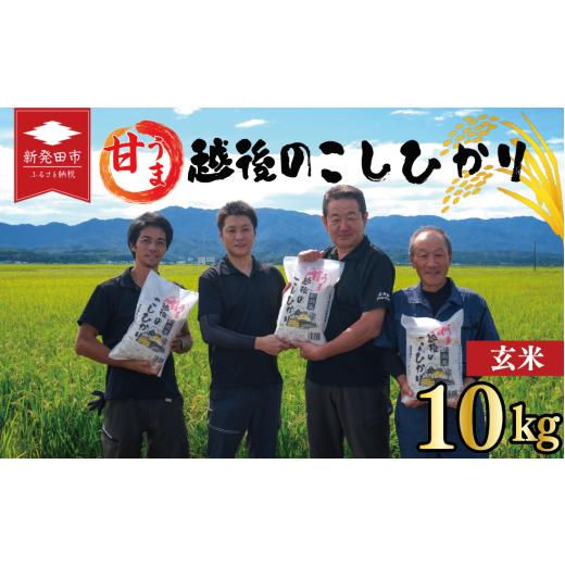 ふるさと納税 米 コシヒカリ 新潟県 新発田市 先行予約 令和8年産 こしひかり 玄米 10kg 甘うま越後の コシヒカリ 米 お米 こめ 新潟米 新潟県産 新潟産 新潟…_1