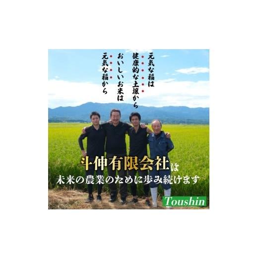 ふるさと納税 米 コシヒカリ 新潟県 新発田市 先行予約 令和8年産 こしひかり 玄米 10kg 甘うま越後の コシヒカリ 米 お米 こめ 新潟米 新潟県産 新潟産 新潟…_7