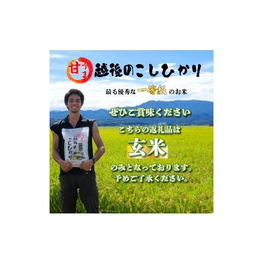 ふるさと納税 米 コシヒカリ 新潟県 新発田市 先行予約 令和8年産 こしひかり 玄米 10kg 甘うま越後の コシヒカリ 米 お米 こめ 新潟米 新潟県産 新潟産 新潟…_8