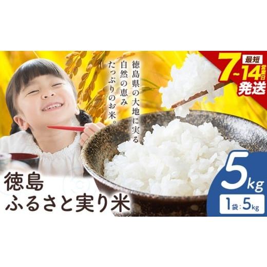 ふるさと納税 米 徳島県 上板町 ＼7~14営業日以内に発送/もちもち美味しい 徳島ふるさと実り米 精米 5kg 徳島県 上板町 お米 米 白米 約5kg
