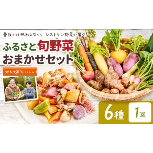 ふるさと納税 野菜類 岡山県 笠岡市 季節の旬野菜 おまかせセット 6種 1回 (農薬・化学肥料不使用)オルタッリャ [45日以内に出荷予定(土日祝除く)] 配送不…