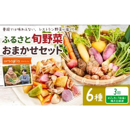 ふるさと納税 野菜類 岡山県 笠岡市 季節の旬野菜 おまかせセット 6種 3回 隔月定期便 (農薬・化学肥料不使用)オルタッリャ [お申込み月の翌月から出荷開始…