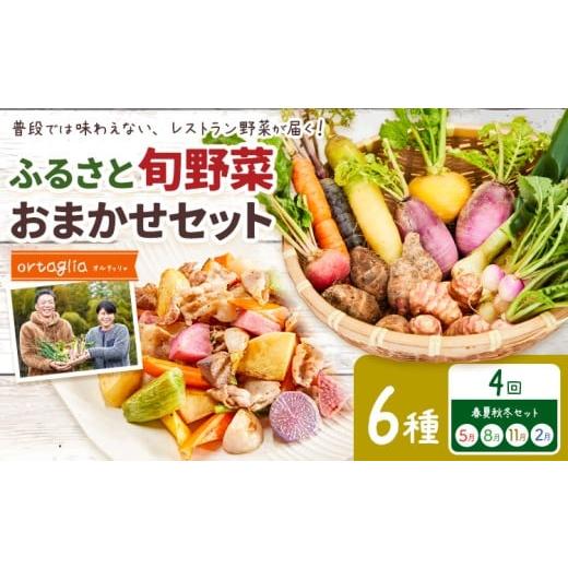 ふるさと納税 野菜類 岡山県 笠岡市 季節の旬野菜 おまかせセット 6種 4回 季節定期便 (農薬・化学肥料不使用)オルタッリャ [5月・8月・11月・2月に発送予…