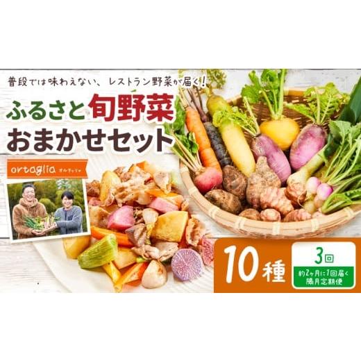 ふるさと納税 野菜類 岡山県 笠岡市 季節の旬野菜 おまかせセット 10種 3回 隔月定期便 (農薬・化学肥料不使用)オルタッリャ [お申込み月の翌月から出荷開…