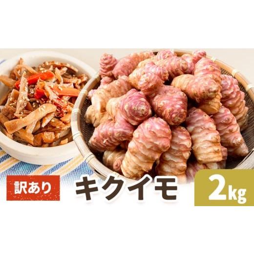ふるさと納税 野菜類 岡山県 笠岡市 キクイモ 約2kg 訳あり [2026年11月上旬-2027年3月下旬頃出荷]イモ 野菜 いも 味噌汁 甘酢漬け ポテト チップス ヘルシ…