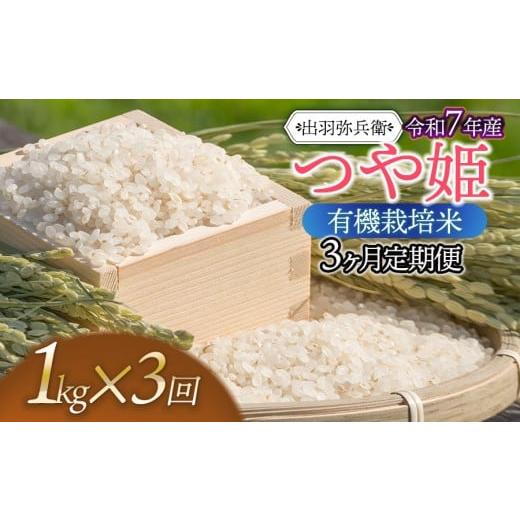 ふるさと納税 米 つや姫 山形県 鶴岡市 令和7年産 定期便3ヶ月 有機栽培米 つや姫 白米 1kg×3ヶ月 山形県鶴岡市産 出羽弥兵衛