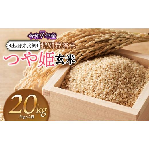 ふるさと納税 米 つや姫 山形県 鶴岡市 令和7年産 特別栽培米 つや姫 玄米 20kg(5kg×4袋) 山形県鶴岡市産 出羽弥兵衛 | お米 コメ こめ つやひめ 20キ…