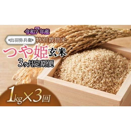 ふるさと納税 米 つや姫 山形県 鶴岡市 令和7年産 定期便3ヶ月 特別栽培米 つや姫 玄米 1kg×3ヶ月 山形県鶴岡市産 出羽弥兵衛