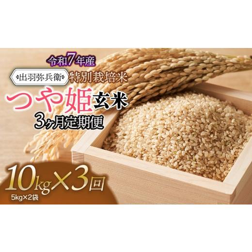 ふるさと納税 米 つや姫 山形県 鶴岡市 令和7年産 定期便3ヶ月 特別栽培米 つや姫 玄米 10kg(5kg×2袋)×3ヶ月 山形県鶴岡市産 出羽弥兵衛 | お米 コメ …