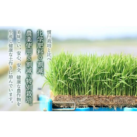 ふるさと納税 米 つや姫 山形県 鶴岡市 令和7年産 定期便6ヶ月 特別栽培米 つや姫 玄米 1kg×6ヶ月　山形県鶴岡市産　出羽弥兵衛　| お米 コメ こめ つやひめ…_2