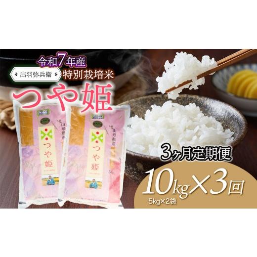 ふるさと納税 米 つや姫 山形県 鶴岡市 令和7年産 定期便3ヶ月 特別栽培米 つや姫 白米 10kg(5kg×2袋)×3ヶ月 山形県鶴岡市産 出羽弥兵衛 | お米 コメ …