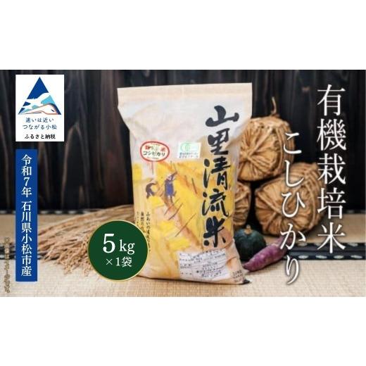 ふるさと納税 米 コシヒカリ 石川県 小松市 有機JAS認定 コシヒカリ 5kg 令和7年産 有機栽培米 コシヒカリ 精米 白米 こめ コメ 米 お米 5kg 米5kg 石川県産 …