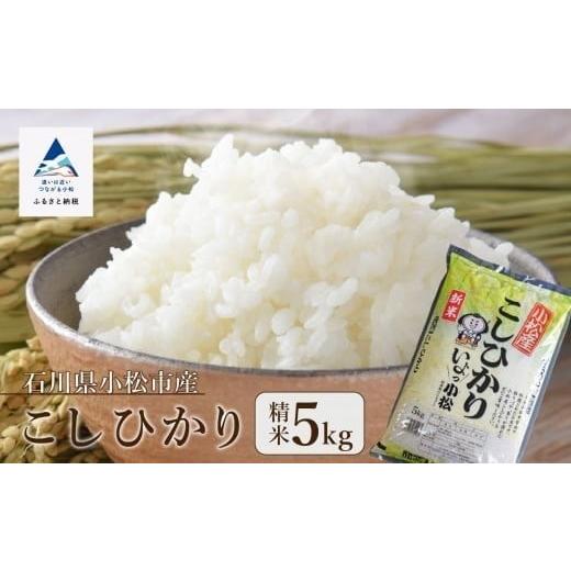 ふるさと納税 米 コシヒカリ 石川県 小松市 こしひかり 精米 5kg 令和7年産 精米 米 小松市産こしひかり 5kg コシヒカリ | 石川県産こしひかり 小松市 JA小松…