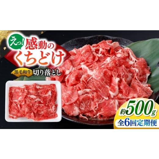 ふるさと納税 牛肉 焼肉・バーベキュー 長崎県 南島原市 6回定期便 国産 黒毛和牛 熟成肉 切り落とし 500g / 小分け 国産牛 お肉 牛肉 切落し 冷凍 焼肉 す…