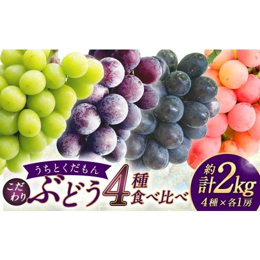 ふるさと納税 果物類 ぶどう 大分県 竹田市 うちとくだもん のこだわりぶどう ぶどう 4種食べ比べセット 各1房 計4房 約2kg 2026年10月上旬〜11月下旬まで順…