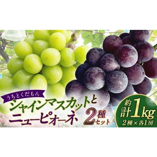 ふるさと納税 果物類 ぶどう 大分県 竹田市 うちとくだもん のシャインマスカットとニューピオーネ 2種セット 各1房 計2房 約1kg 2026年10月上旬〜11月下旬ま…