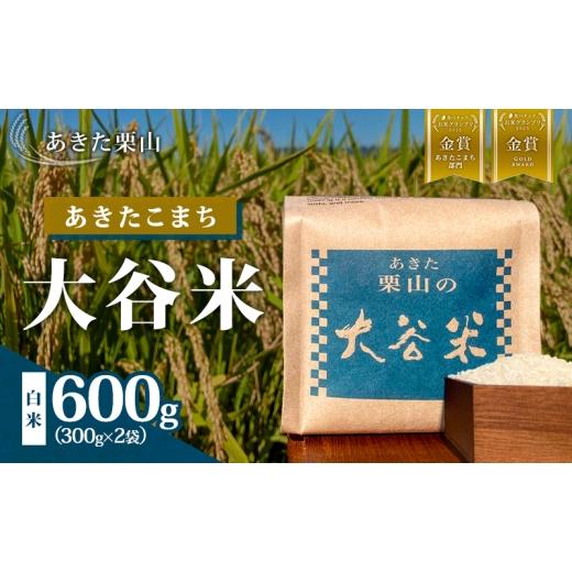 ふるさと納税 米 あきたこまち 秋田県 能代市 食べチョク金賞受賞 米 あきたこまち 300g×2袋 計600g 令和7年産 あきた栗山 大谷米 白米 精米 こめ お米 おこ…