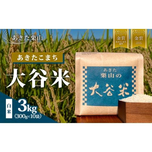 ふるさと納税 米 あきたこまち 秋田県 能代市 食べチョク金賞受賞 米 あきたこまち 300g×10袋 計3kg 令和7年産 あきた栗山 大谷米 白米 精米 こめ お米 おこ…