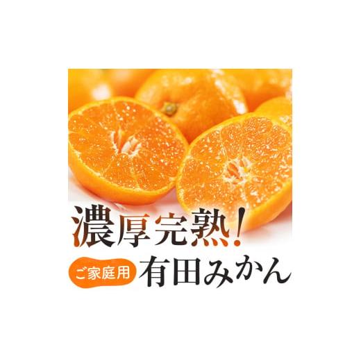 ふるさと納税 果物類 みかん 和歌山県 紀美野町 2026年9月中旬〜10月上旬頃に順次発送予定 有田育ちの完熟有田みかん 家庭用 サイズ混合(2S〜2L) 約2.2kg(2k…