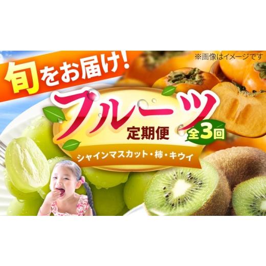 ふるさと納税 果物の詰合せ 福岡県 広川町 3回定期便 フルーツ定期便(シャインマスカット/柿/キウイ) 果物 くだもの ふるーつ フルーツ 柿 かき カキ 秋…