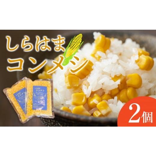 ふるさと納税 加工品等 レトルト 和歌山県 白浜町 しらはまコンメシ 2袋 セット わかやましらはま農家 特製 炊き込みご飯の素