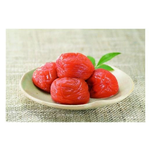 ふるさと納税 加工品等 梅干 和歌山県 みなべ町 元祖はちみつ入梅干 黄金漬 600g umicbn004