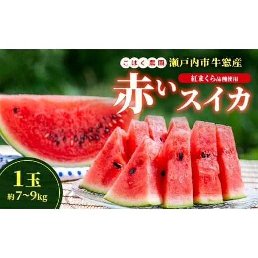 ふるさと納税 スイカ 岡山県 瀬戸内市 こはく農園 瀬戸内市牛窓産 赤いスイカ 紅まくら品種使用 1玉(約7〜9kg) スイカ 西瓜 フルーツ 国産 岡山 瀬戸内市 No.5…