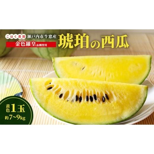 ふるさと納税 スイカ 岡山県 瀬戸内市 こはく農園 瀬戸内市牛窓産 琥珀の西瓜 金色羅皇品種使用 黄色 1玉(約7〜9kg) スイカ 西瓜 フルーツ 国産 岡山 瀬戸内市…