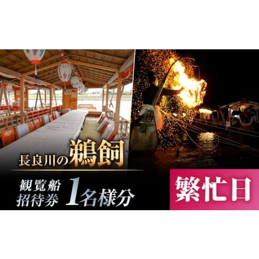 ふるさと納税 体験チケット 岐阜県 岐阜市 繁忙日 ぎふ長良川の鵜飼観覧乗合船招待券 1名様分 岐阜 観光 チケット 岐阜市/鵜飼観覧船事務所 ANBA013 ?忙日