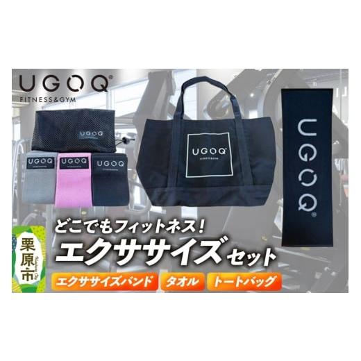 ふるさと納税 雑貨・日用品 宮城県 栗原市 フィットネス 用品 どこでもフィットネス UGOQエクササイズセット 3品セット クロネコゆうパケット エクササイズバ…