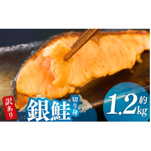ふるさと納税 魚貝類 鮭 千葉県 旭市 鮭 訳あり 厚切り 銀鮭 切り身 1.2kg (1枚120〜160g) 鮭 さけ サケ シャケ 海鮮 塩 有塩 おかず 朝ごはん 朝食 弁当冷…