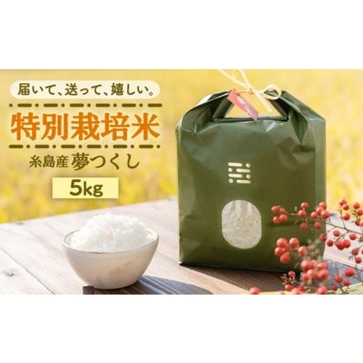 ふるさと納税 米 福岡県 吉富町 茶(オリジナル手提げ箱) とくべつの中のとくべつ 特別栽培米 5kg 夢つくし 吉富町/(株)やました BGBX005-1 茶(オリジナル…