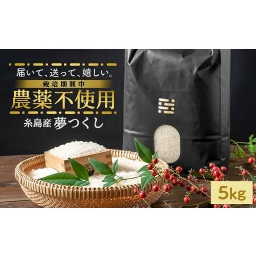 ふるさと納税 米 福岡県 吉富町 黒箱 農薬を使わずに育てた 山つき 5kg 夢つくし 吉富町/(株)やました BGBX013-2 黒箱