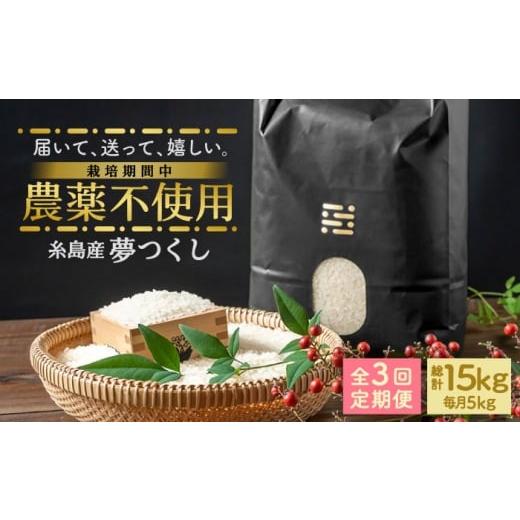 ふるさと納税 米 福岡県 吉富町 茶(オリジナル手提げ箱) 全3回定期便 農薬を使わずに育てた 山つき 5kg 夢つくし 吉富町/(株)やました BGBX014-1 茶(オリ…