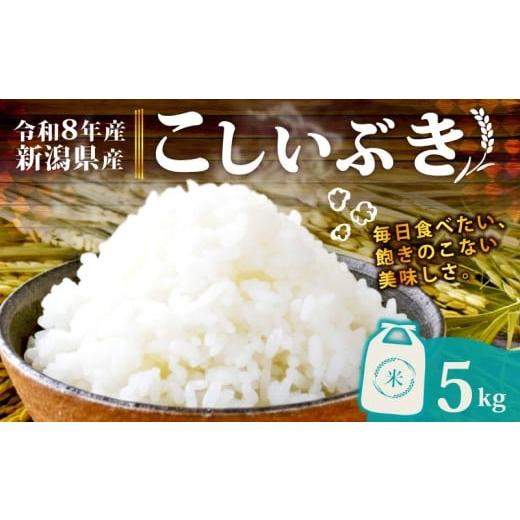 ふるさと納税 米 新潟県 新発田市 令和8年産 新潟県産 こしいぶき 5kg 単品 新発田産 新潟 ふるさと納税 米 お米 白米 米 お米 こめ コメ ライス ご飯 ごはん…