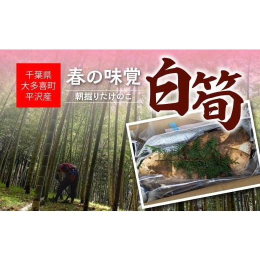 ふるさと納税 野菜類 千葉県 大多喜町 W05403 大多喜町平沢産 春の味覚「白筍」 ふるさと納税 たけのこ タケノコ 筍 朝堀り ギフト 千葉県 大多喜町