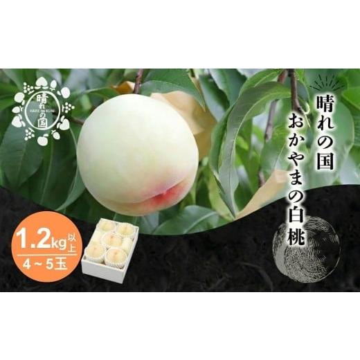 ふるさと納税 もも 岡山県 鏡野町 先行予約 晴れの国おかやま 白桃1.2kg以上(4〜5玉) 8月中旬〜9月上旬発送 021-a026 1.2kg以上(4〜5玉)