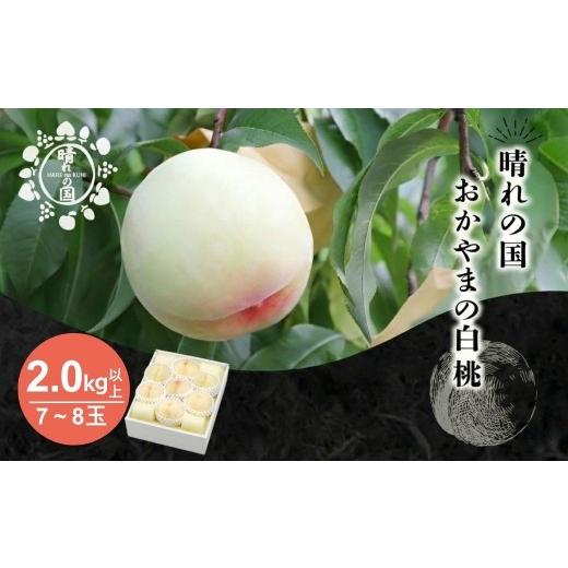 ふるさと納税 もも 岡山県 鏡野町 先行予約 晴れの国おかやま 白桃2.0kg以上(7〜8玉) 8月中旬〜9月上旬発送 021-a027 桃 もも モモ はくとう フルーツ 果…