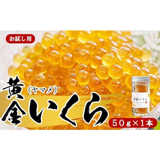 ふるさと納税 魚貝類 山梨県 富士川町 お試し用 幻の珍味 「黄金いくら」1本セット(ヤマメの卵醤油漬け) いくら イクラ 魚卵 小分け 数量限定 旬 人気 贈…