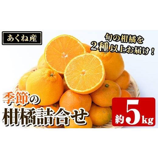 ふるさと納税 みかん・柑橘類 鹿児島県 阿久根市 竹ん子山の季節の柑橘詰め合わせ(約5kg) 国産 鹿児島県産 阿久根産 柑橘 果物 温州みかん ミカン 蜜柑 ボンタ…