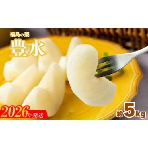 ふるさと納税 梨 福島県 福島市 No.3315梨 なし 豊水 約5kg 2026年発送