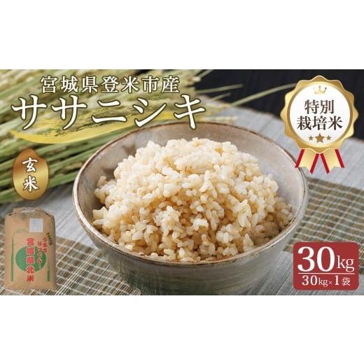 ふるさと納税 玄米 宮城県 登米市 令和7年産 特別栽培米 ササニシキ 玄米 30kg(30kg×1袋) 登米市産 米 お米 おこめ ごはん ご飯 玄米 おにぎり お弁当 ささ…