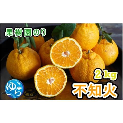 ふるさと納税 みかん・柑橘類 和歌山県 由良町 不知火 秀品 2kg サイズおまかせ(2S〜L) 2026年2月中旬頃から3月下旬発送予定 / 柑橘 不知火 秀品 フルーツ …