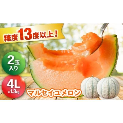 ふるさと納税 メロン 長崎県 - 2026年6月発送 マルセイユメロン4L(約1.3kg)×2玉 〜初夏のごちそう 糖度13度以上のメロンを厳選発送 〜 長崎県/株式会社 …